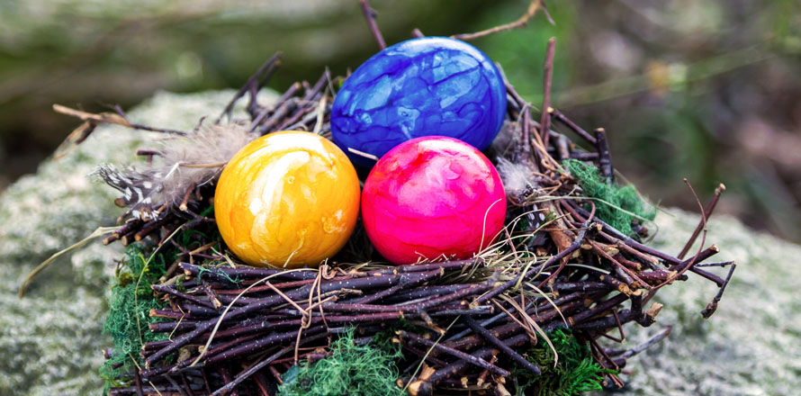 Auf einem Stein liegt ein Osternest aus Reisig, in dem sich ein blaues, ein pinkes und ein gelbes Ei befinden