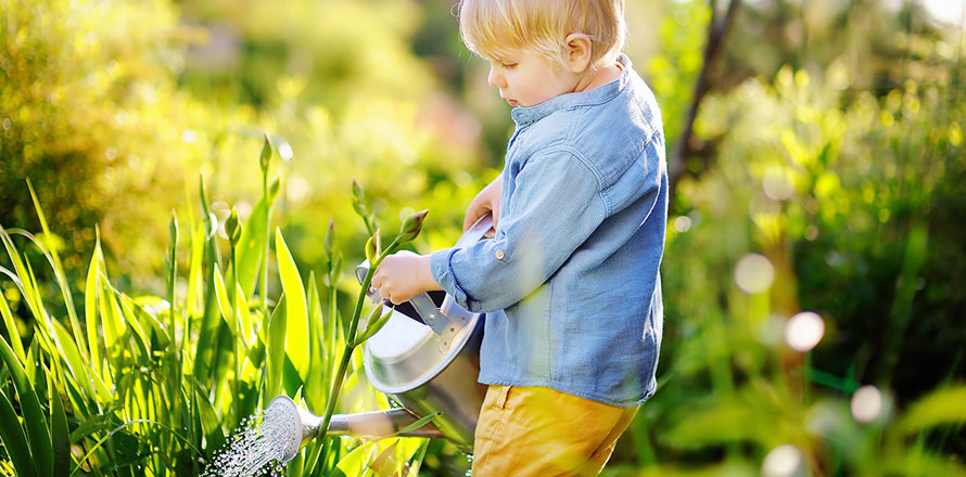 Junge gießt Kräuter im Garten