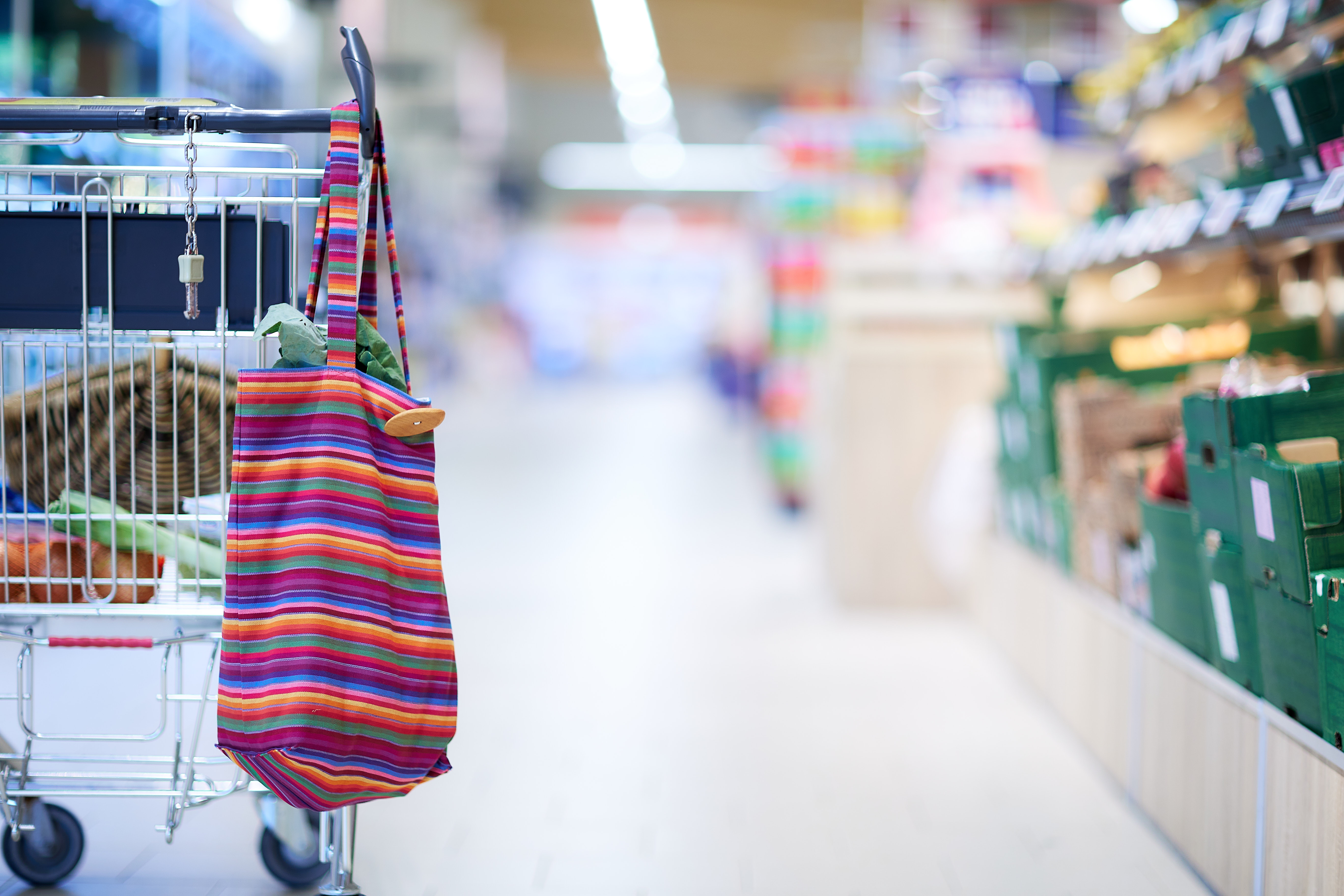 Emil Baumwoll Shopper am Einkaufswagen